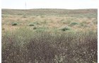 Property photo 110 - LAND AUCTION, 3255+/- Acres offered in 13 Tracts